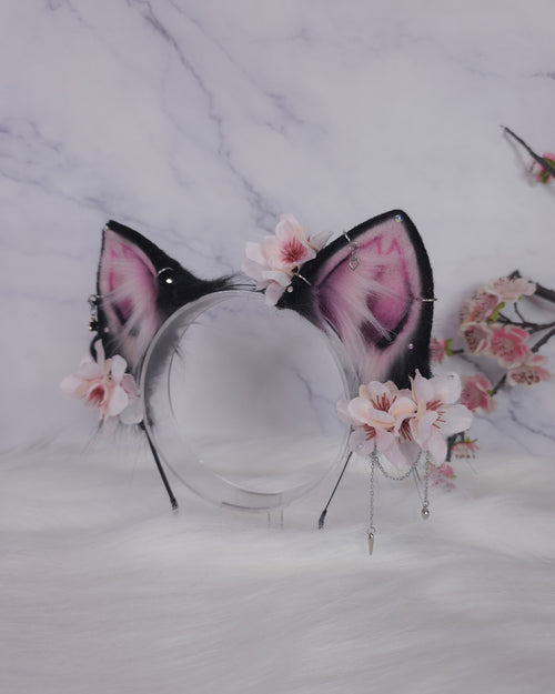 Black Sakura Kitty