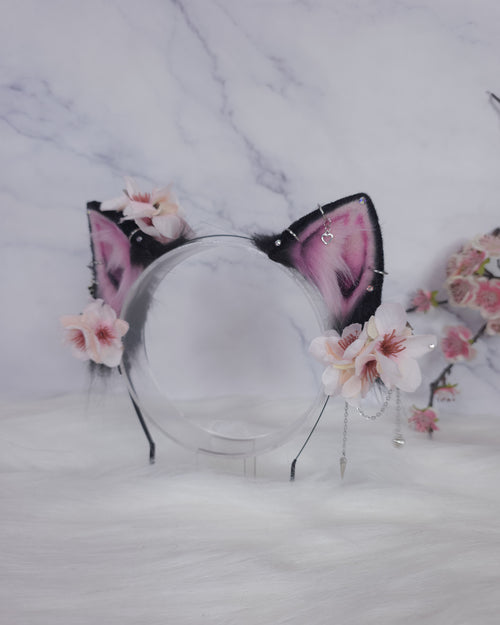 Black Sakura Kitten