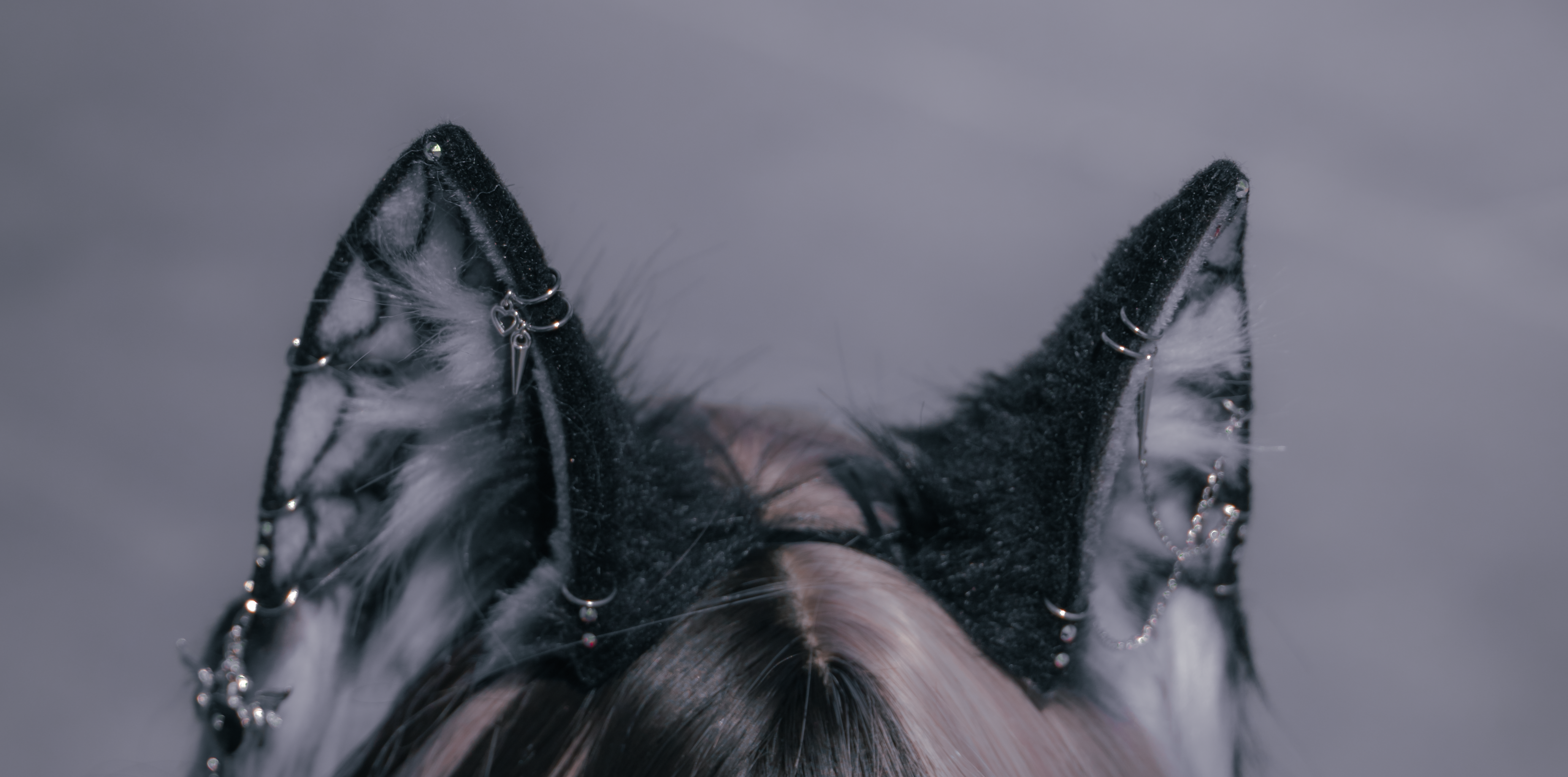 KittyKitsune (122 of 235).png