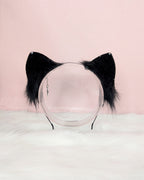 Kuro Sparkle Ears (Preorder)